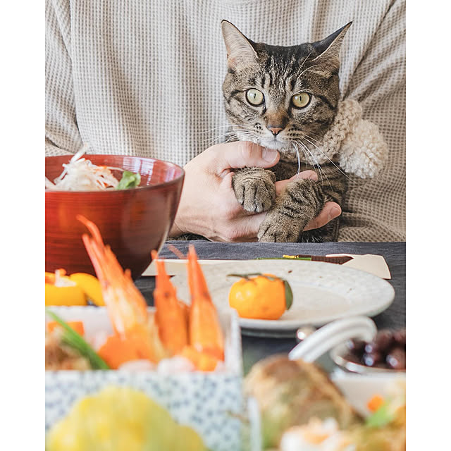 oliveさんの部屋