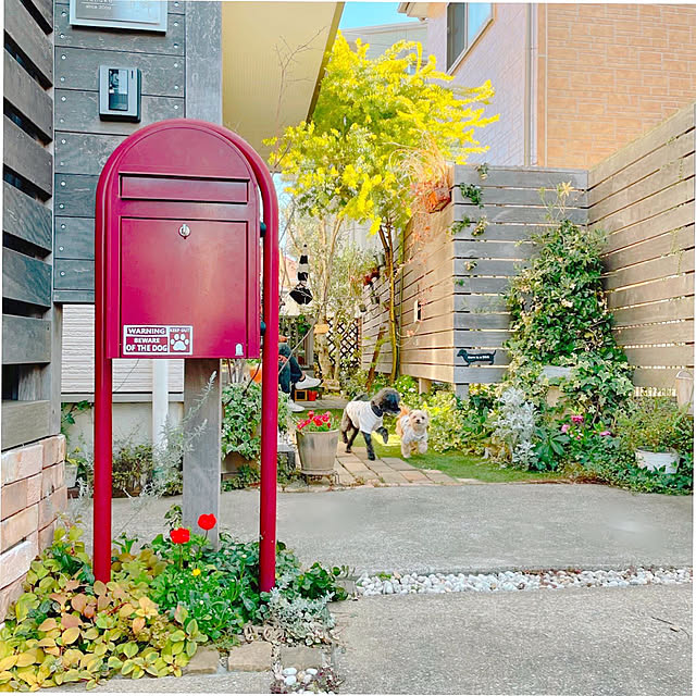 risaさんの実例写真