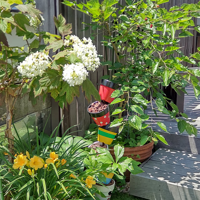 玄関/入り口/庭/庭の花/花のある暮らし/庭のある暮らし...などのインテリア実例 - 2022-06-12 20:40:21