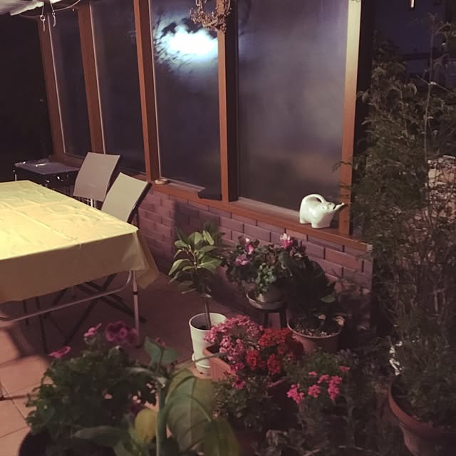 Naonさんの実例写真