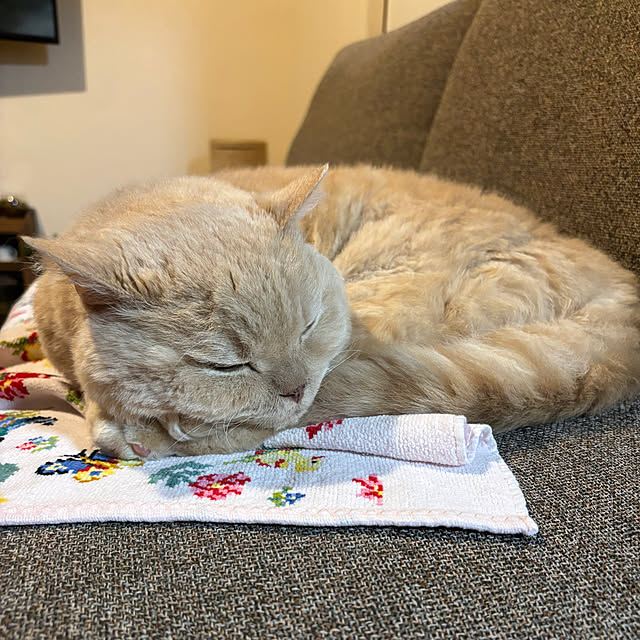 naokoさんの部屋