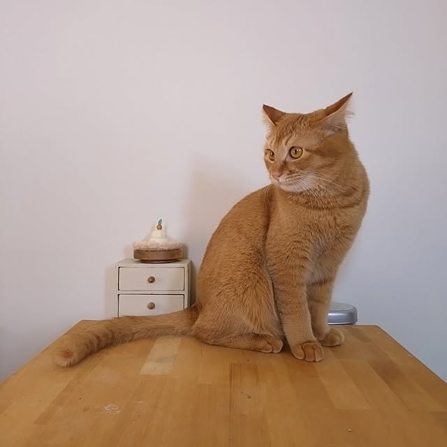 mayutan.さんの部屋