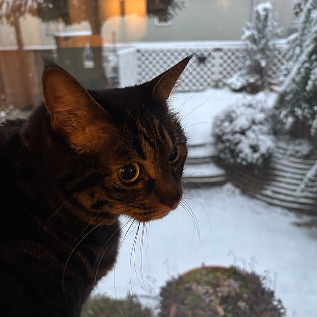 momocchiさんの部屋