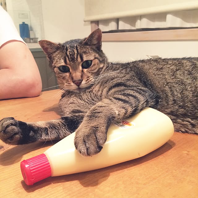 fukuさんの実例写真