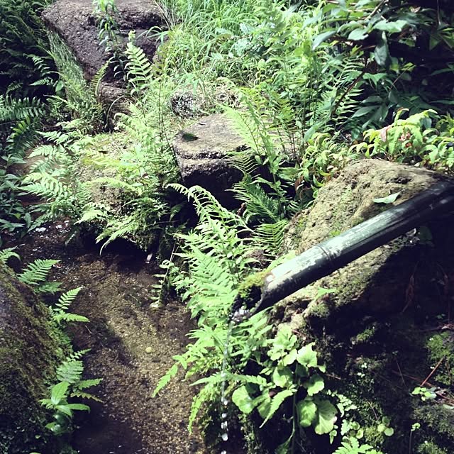 tomoさんの実例写真