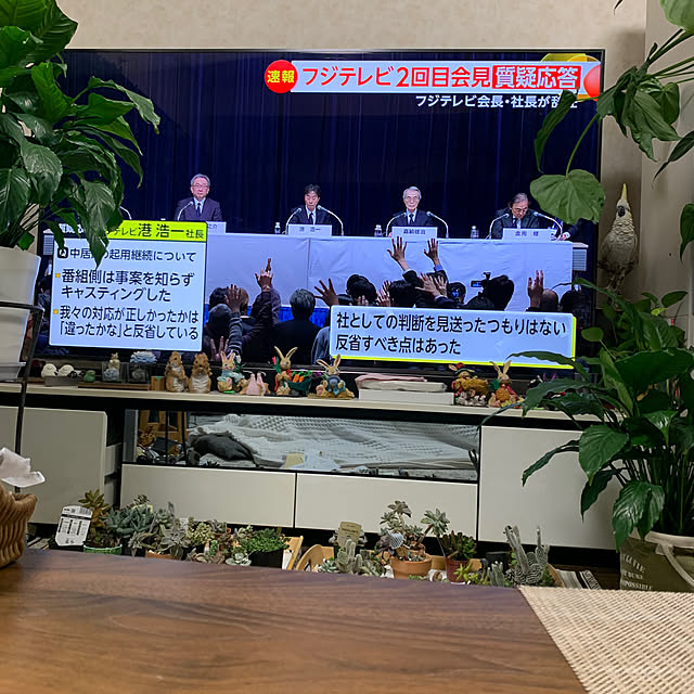 Aqettyさんの実例写真