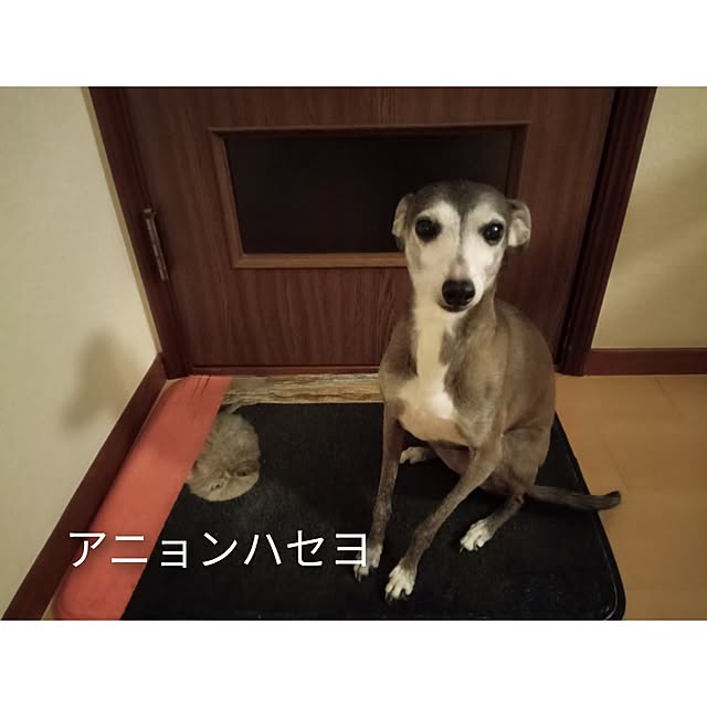 moruさんの部屋