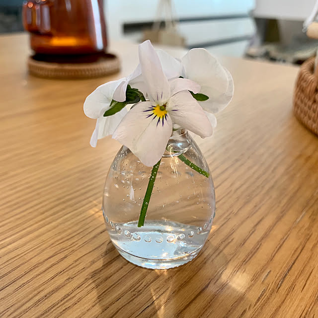 Minteaさんの部屋
