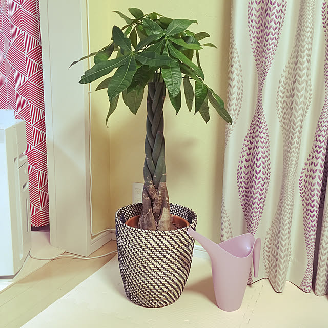 lanikaiさんの実例写真
