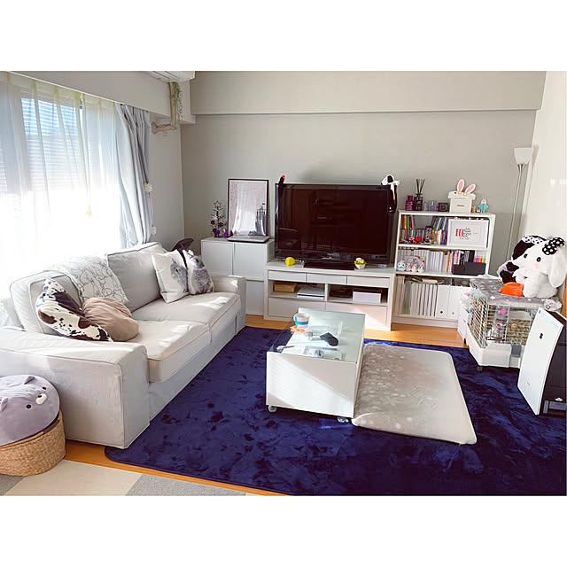 Shiba_komugiさんの実例写真