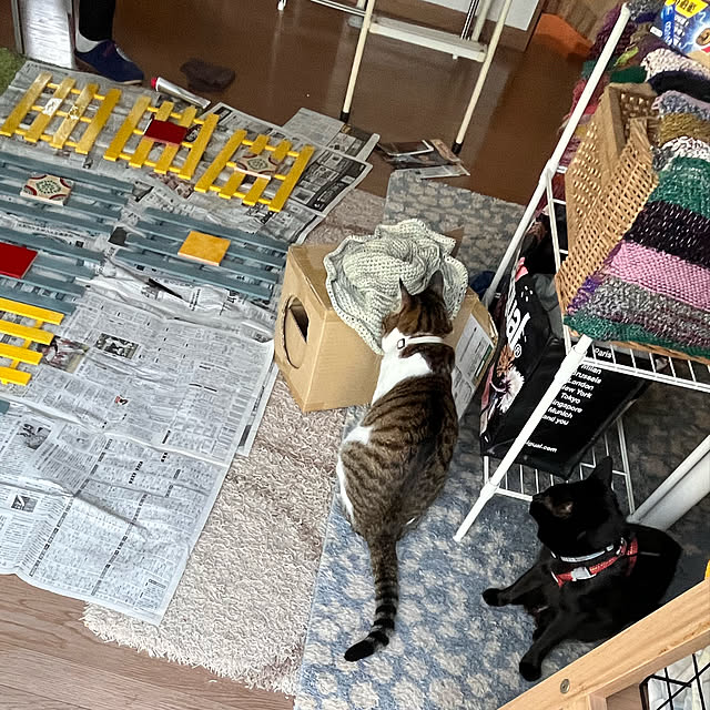 jijiさんの実例写真