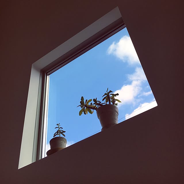 Y1178さんの実例写真