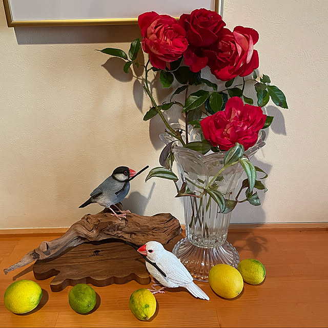 kakoさんの実例写真