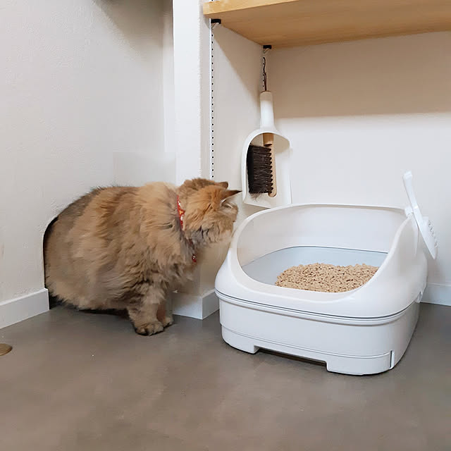 nanoさんの実例写真
