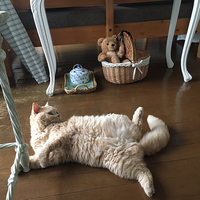 naokoさんの実例写真