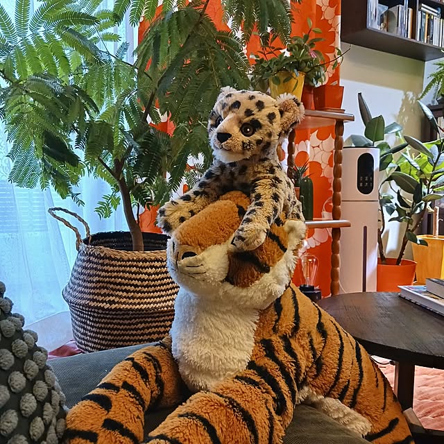 funnyfaceさんの部屋