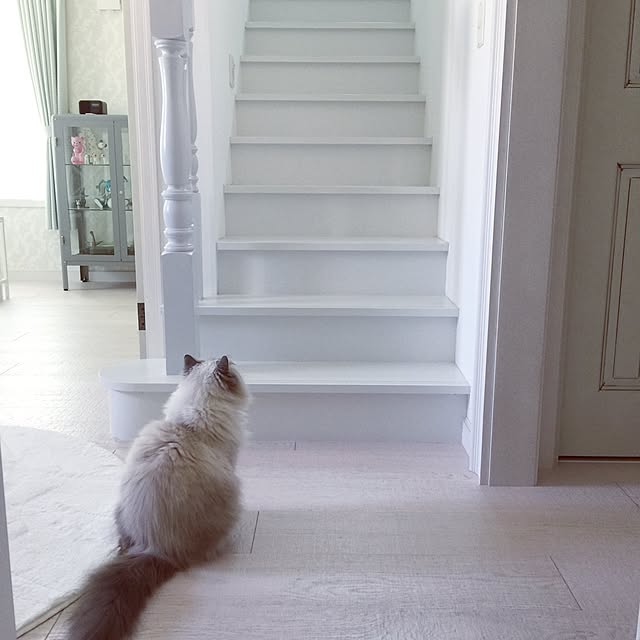 yuchiさんの実例写真