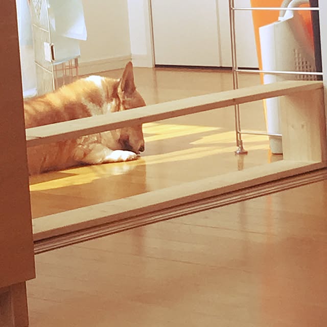 yumehanaさんの実例写真