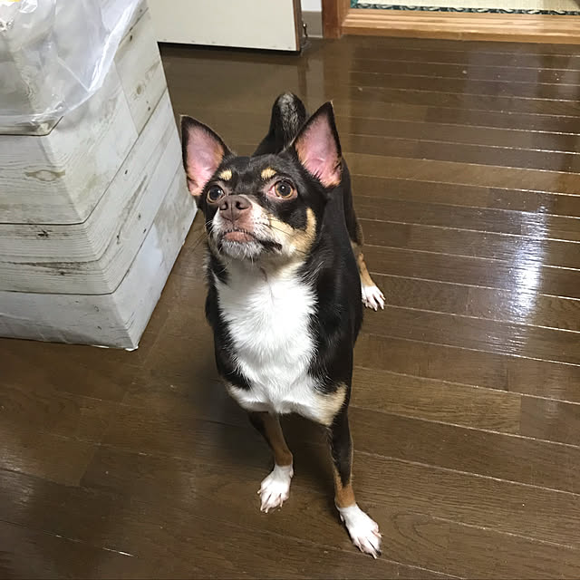nacchintunnさんの実例写真