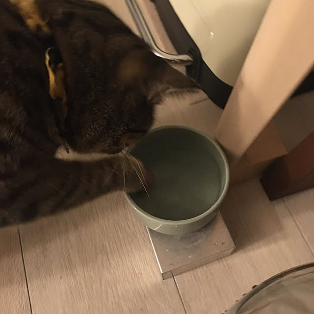 Mさんの実例写真