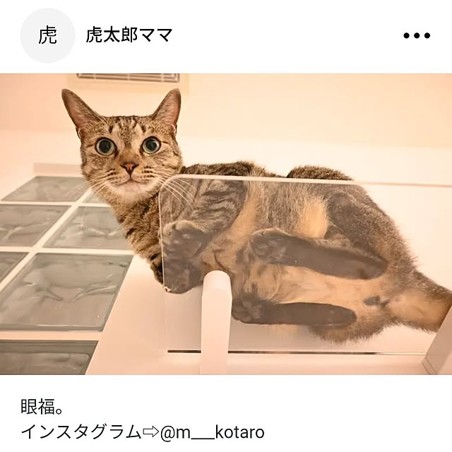 Marikoさんの実例写真