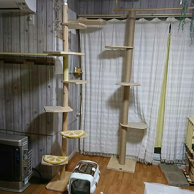 SHIHOさんの実例写真