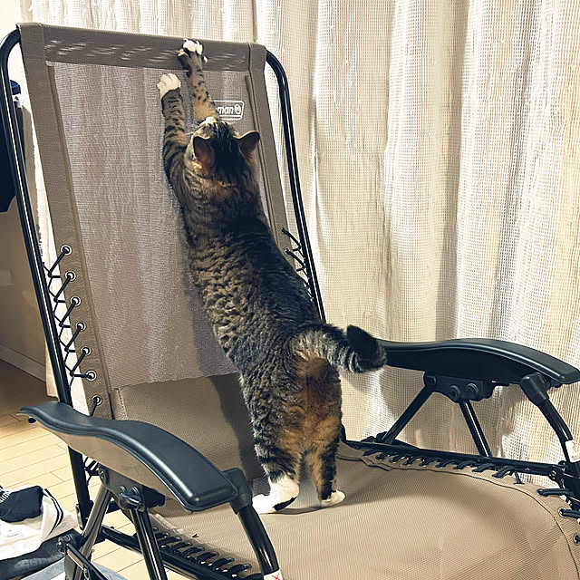 suemonta14さんの部屋