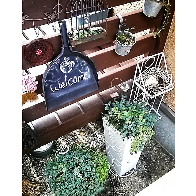 portulacaさんの実例写真