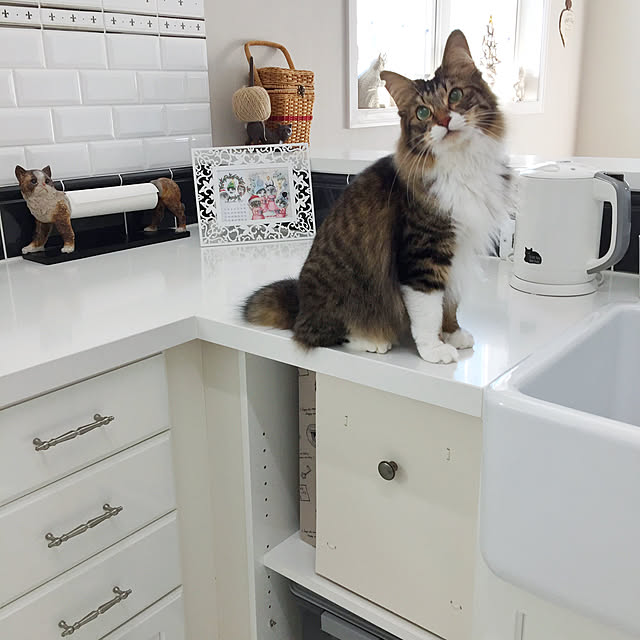 yuchiさんの実例写真