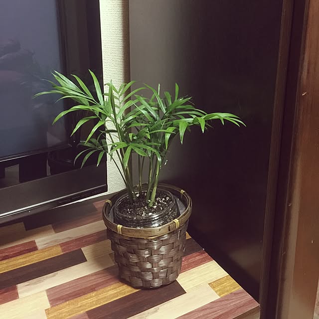 kojiro120513さんの実例写真