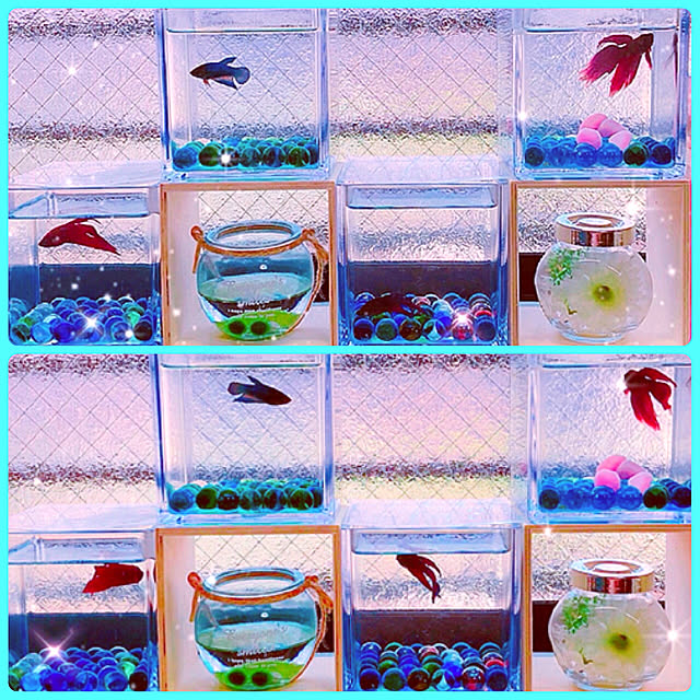 koyuriさんの実例写真