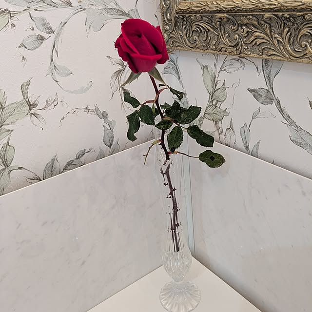 machikomamaさんの実例写真