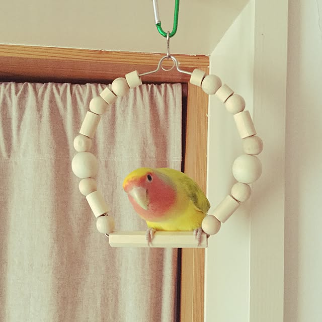 srpさんの実例写真