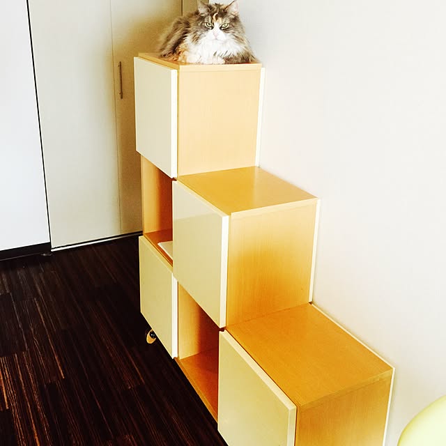 Yusukeさんの実例写真