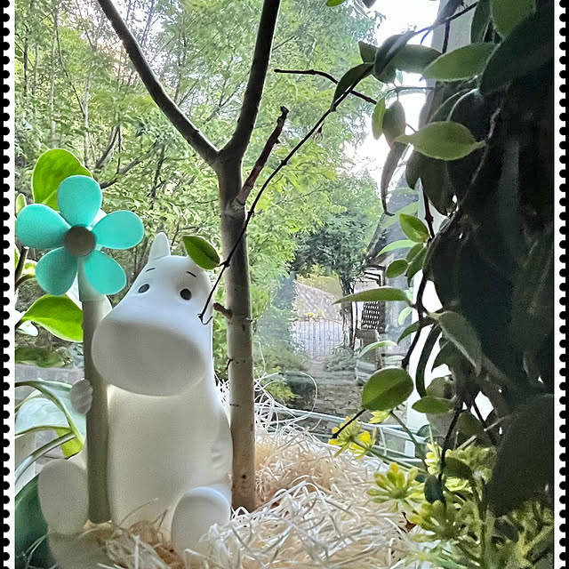 cota2さんの部屋