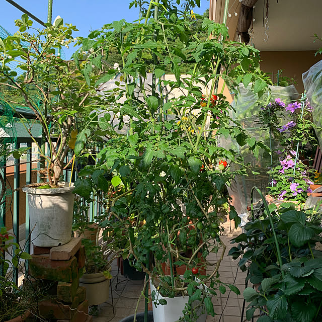 Aqettyさんの部屋