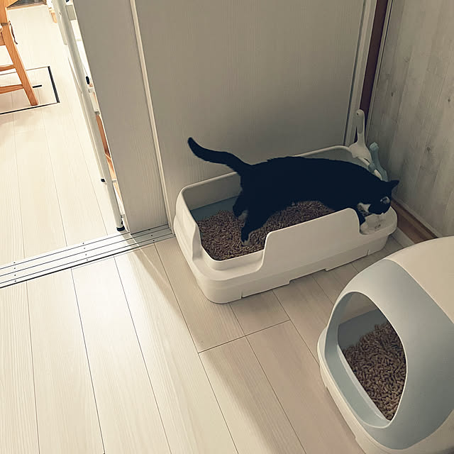 chatnoirさんの部屋