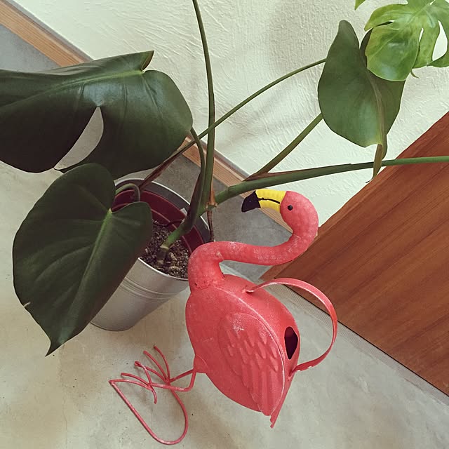 Miyukiさんの実例写真