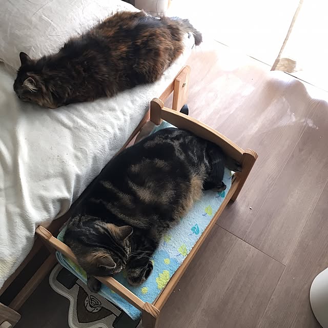 mikomaruさんの実例写真
