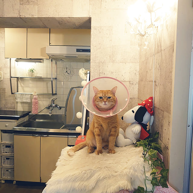 asuminさんの実例写真