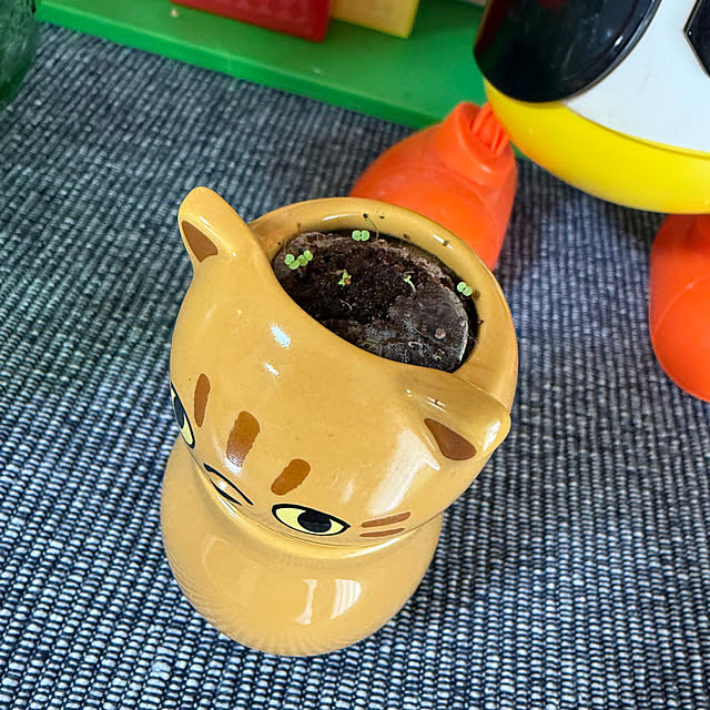 umiさんの実例写真