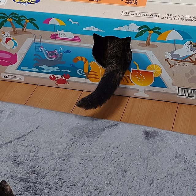 noguriさんの部屋