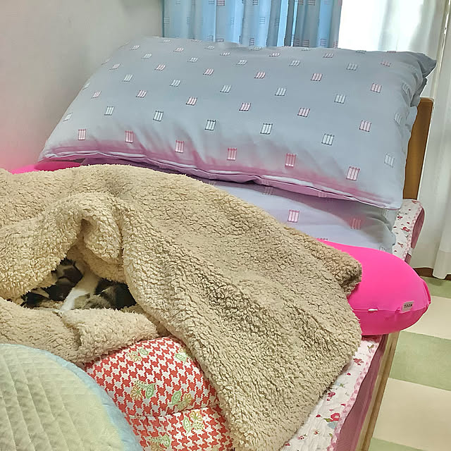 haruminさんの実例写真