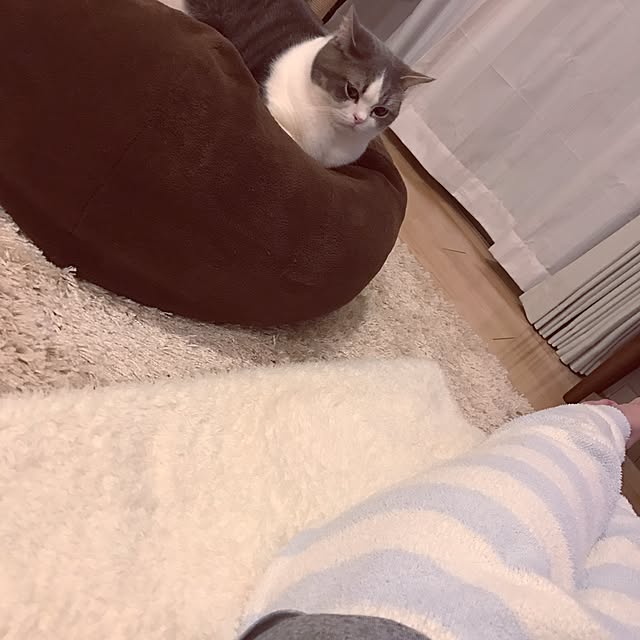 hikari_pppさんの実例写真