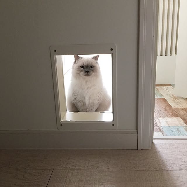 yuchiさんの実例写真