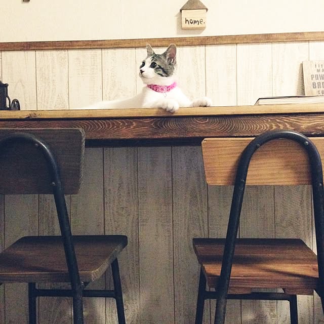 kayocoさんの実例写真
