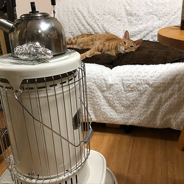 kotetuさんの実例写真