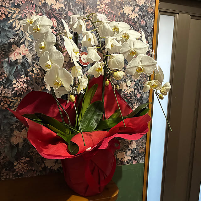 kuroさんの実例写真