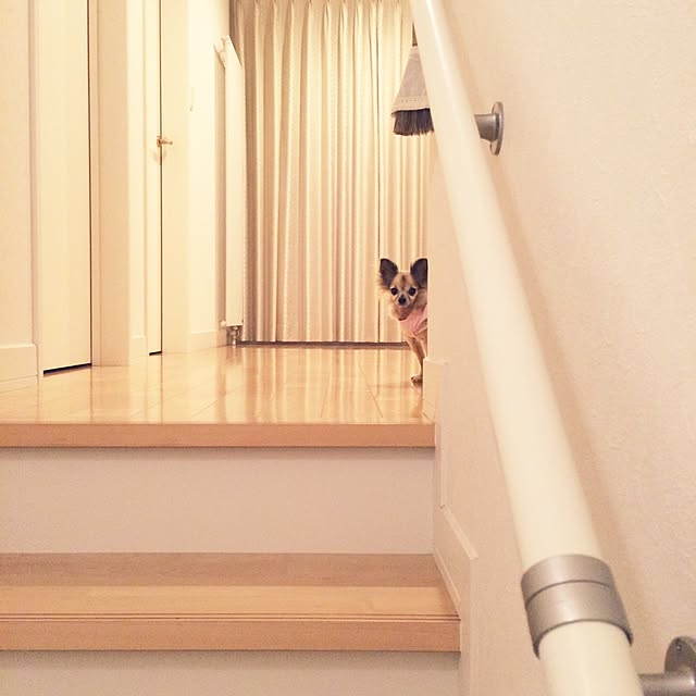 taramamaさんの実例写真