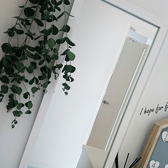 a.mouth.m25さんの実例写真